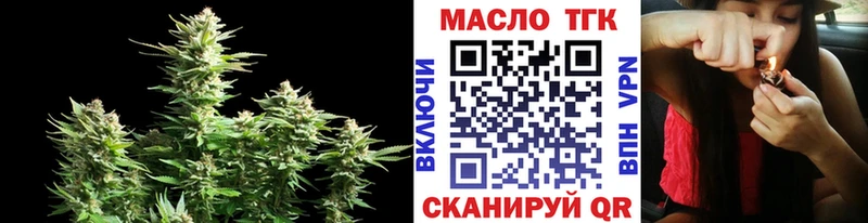 Купить  Приморско-Ахтарск  ТГК концентрат 